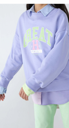 Blusão Infantil Menina Estampado Em Moletom Peluciado - Roxo - comprar online