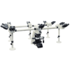 MICROSCÓPIO MULTI VISUALIZAÇÃO COM CAPACIDADE PARA ATÉ 10 OBSERVADORES SIMULTANEAMENTE . AUMENTO MÁXIMO DE 2000X, OBJETIVAS PLANACROMATIVAS INFINITA. ILUMINAÇÃO POR LED OU HALOGÊNIO 24 VOLTS/100 WATTS. SÉRIE HEMERA