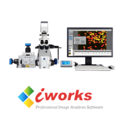 SOFTWARE I-WORKS ECONÔMICO, PARA USO EM MICROSCOPIA EM GERAL COM IMAGENS CALIBRAÇÕES E MEDIÇÕES BÁSICAS (MANUAIS) COM ATÉ 7 FERRAMENTAS DIFERENTES DE TRABALHO - MODELO: VERSÃO EX - buy online