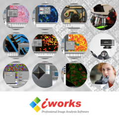 SOFTWARE I-WORKS ECONÔMICO, PARA USO EM MICROSCOPIA EM GERAL COM IMAGENS CALIBRAÇÕES E MEDIÇÕES BÁSICAS (MANUAIS) COM ATÉ 7 FERRAMENTAS DIFERENTES DE TRABALHO - MODELO: VERSÃO EX en internet