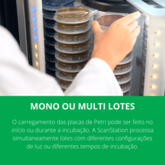 Imagem do INCUBADORA E CONTADORA DE COLÔNIAS EM TEMPO REAL, CAPACIDADE PARA 100 PLACAS DE PETRI, INCUBAÇÃO DE 20°C A 45°C, ACEITA PLACAS DE PETRI DE 55 A 65 MM E 90MM DE DIÂMETRO, EQUIPADA COM COMPUTADOR, MONITOR, CÂMERA ULTRA HD, LENTES TELECÊNTRICAS, CONTROLE ATRAVÉS DE TELA TOUCHSCREEN - MODELO SCANSTATION 100