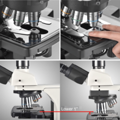 MICROSCÓPIOS BIOLÓGICOS COM TUBOS BINOCULARES OU TRINOCULARES ERGONÔMICOS, PARA TRABALHOS COM CAMPO ESCURO, CONTRASTE DE FASE, DIC, IMUNOFLUORESCÊNCIA, 6 OBJETIVAS, ILUMINAÇÃO POR LED 10W OU HALOGÊNIO 24V/100W - SÉRIE HEMERA BIO