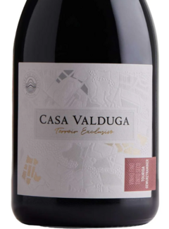 Vinho Tinto Casa Valduga Terroir Exclusivo Touriga Nacional 750ml - comprar online