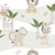 Papel de Parede - Mondo Baby - 13048