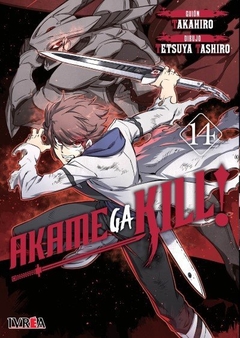 AKAME GA KILL 14