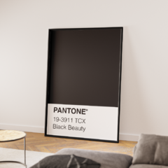 Pantone - Black Beauty