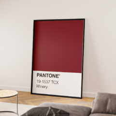 Pantone - Winery - comprar online