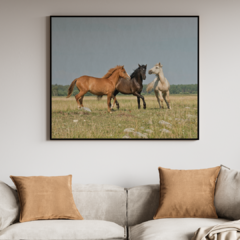 Horses Open - comprar online