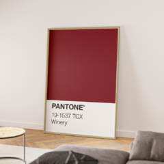 Pantone - Winery en internet