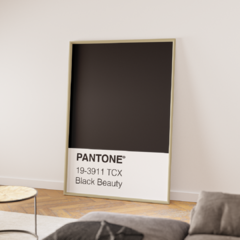 Pantone - Black Beauty en internet