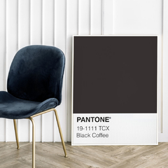 Pantone - Black Coffee en internet