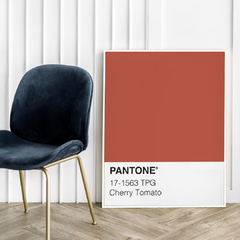 Pantone - Cherry Tomato