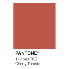 Pantone - Cherry Tomato - DA design & art