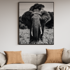 Elephant Jungle - comprar online
