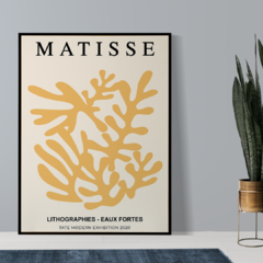 Matisse - Eaux Forte en internet