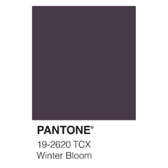 Pantone - Winter Bloom - DA design & art