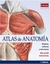 ATLAS DE ANATOMIA - SOBOTTA