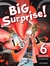 BIG SURPRISE 6 BOOK