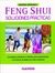 FENG SHUI SOLUCIONES PRACTICAS