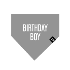 Banadana 'BIRTHDAY BOY' - comprar online