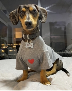 LISA PARA PERSONALIZAR Remera perro wearemart