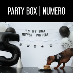 PARTY BOX | NUMERO