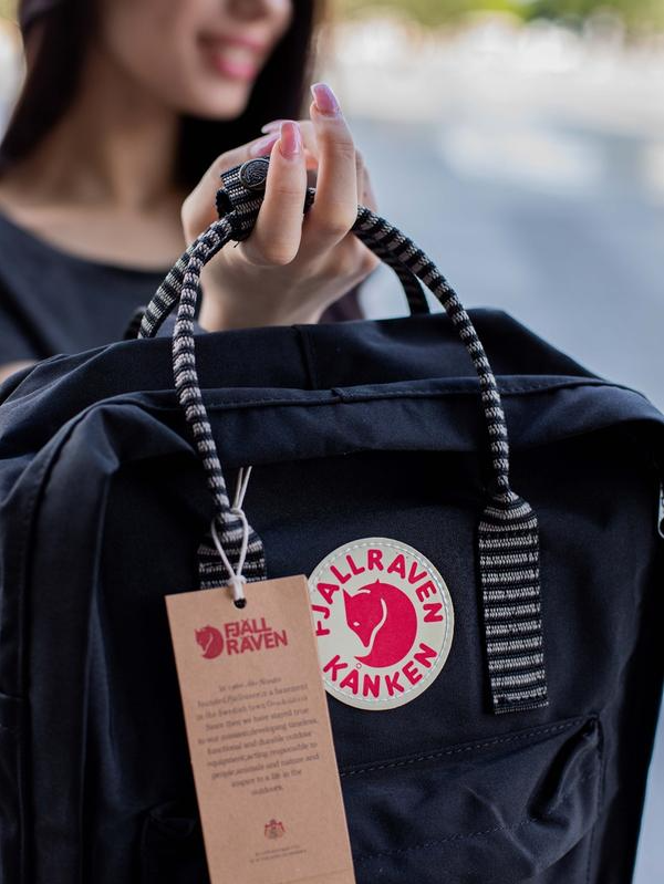 Mochila fjallraven best sale kanken 20l