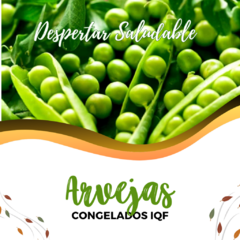 Arvejas enteras congeladas IQF x 250 gr - comprar online