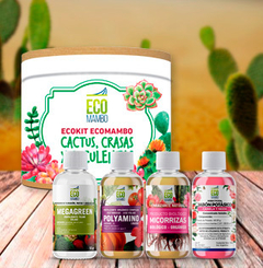 ECOKIT CACTUS, CRASAS Y SUCULENTAS