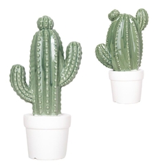 Cactus Ceramica Deco