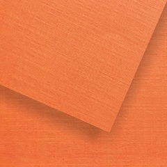 Duocolor Canvas - 13 - Naranja