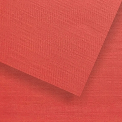 Duocolor Canvas - 14 - Rojo