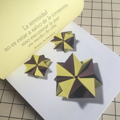 Origami Para Desplegar Tu Mente - comprar online