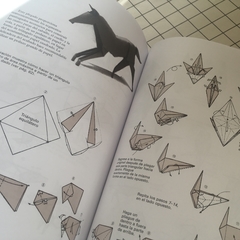 Origami para expertos - comprar online