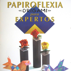 Origami para expertos