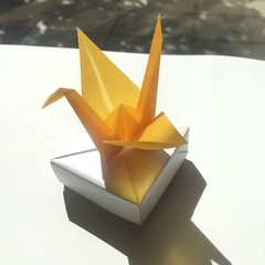 Translucent Paper - Glassine - Amarillo en internet