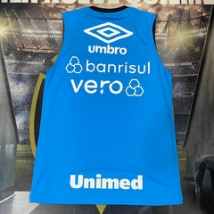 Musculosa Entrenamiento Gremio Celeste 2023 Firmada por Suarez - comprar online