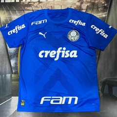Camiseta Arquero Palmeiras 2023 #24