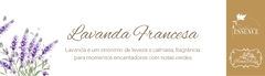 Banner da categoria Lavanda Francesa