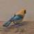 Pássaro em Madeira - Saíra Sete Cores da Amazônia na internet
