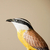 Pássaro em Madeira - comprar online