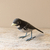 Pássaro em Madeira - Coleiro-do-Brejo
