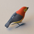 Pássaro em Madeira - Saíra Sete Cores da Amazônia na internet