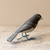 Pássaro em Madeira - Coleiro-do-Brejo - comprar online