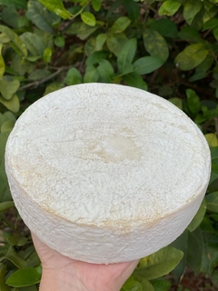 QUEIJO NUVEM – FAZENDA BARÃO DA CANASTRA