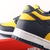 Nike SB Dunk Low - Michigan