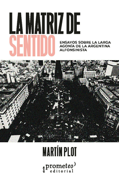 La matriz de sentido. Ensayos sobre la larga agonía de la Argentina alfonsinista / Martín Plot - comprar online