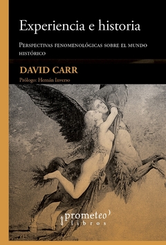 EXPERIENCIA E HISTORIA. Perspectivas fenomenologicas sobre el mundo historico / CARR DAVID