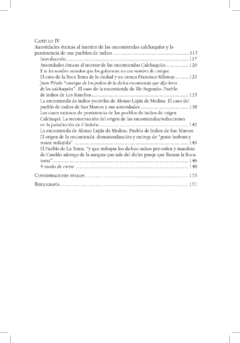 Calchaquíes en Córdoba. Desnaturalizaciones, encomiendas y pueblos de indios a fines del siglo XVII / Virginia Zelada en internet