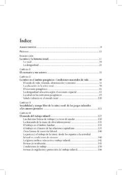 El mundo de la niñez rural patagónica. Una historia de desigualdad / Enrique Hugo Mases - comprar online